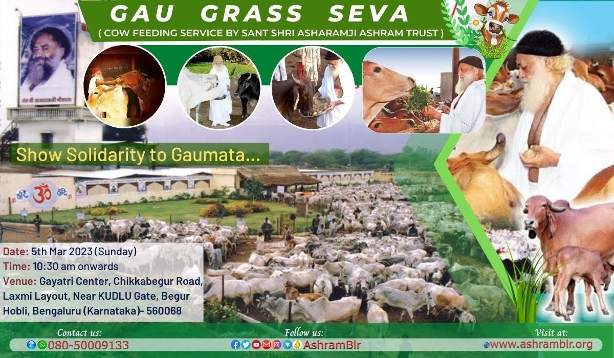 Asharamji Ashram Trust organized Gaugrass Seva at Maa Bhagwati Gaushala, KUDLU Gate.